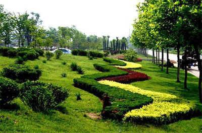 园林绿化工程的一站式服务,尽在中国绿化工程网!